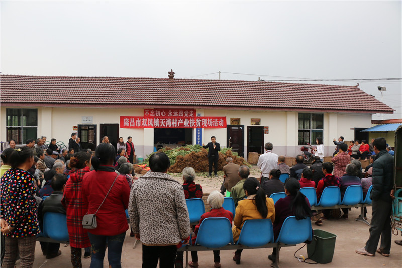 隆昌市双凤镇天湾村:推进产业转型 助农脱贫增收