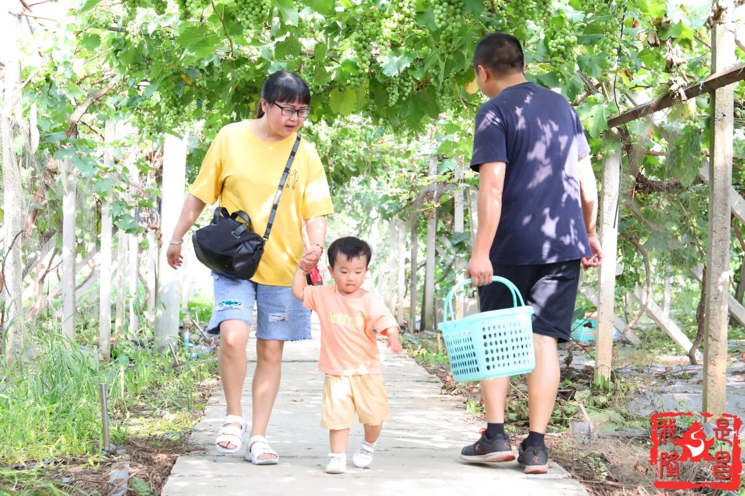 280037_1593001353753741.jpg 640.webp.jpg