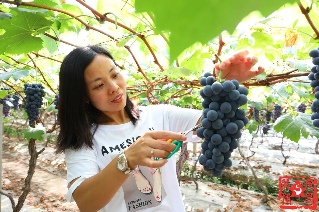 280037_1593001386424060.jpg 640.webp (2).jpg