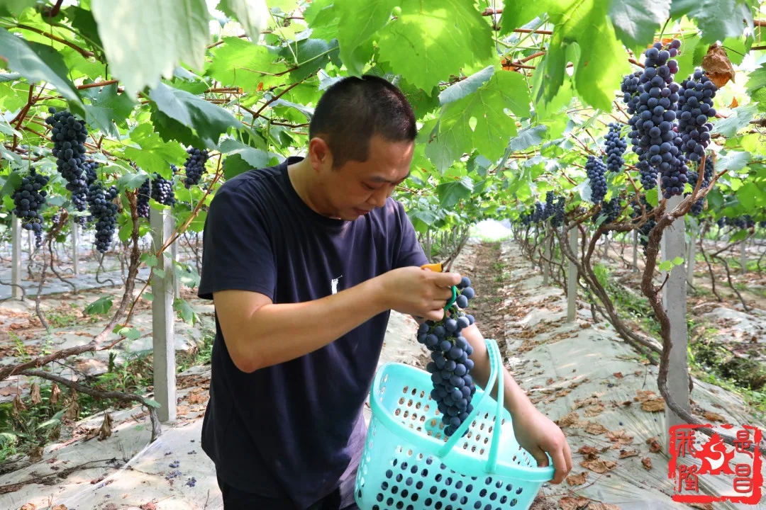 280037_1593001400508415.jpg 640.webp (3).jpg