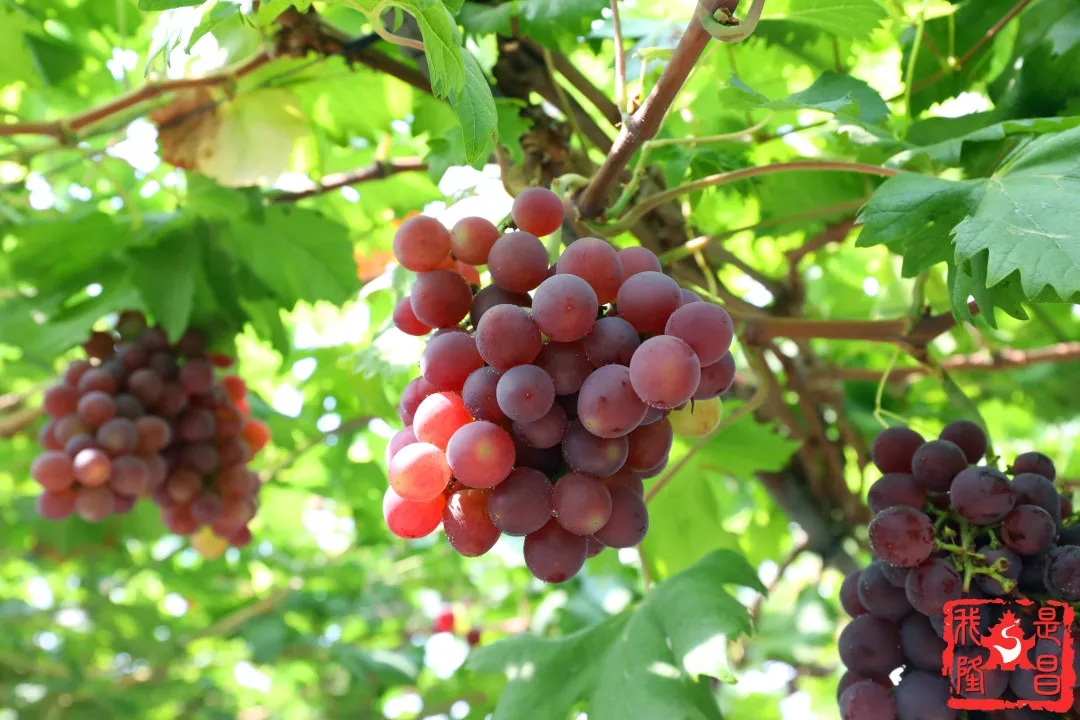 280037_1593001428254748.jpg 640.webp (5).jpg