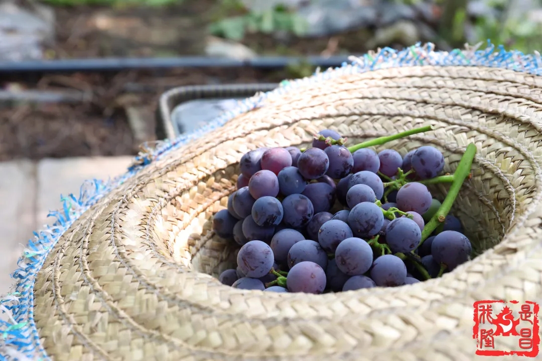 280037_1593001441223917.jpg 640.webp (6).jpg