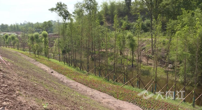 281604_1592877888530675.png 4.png