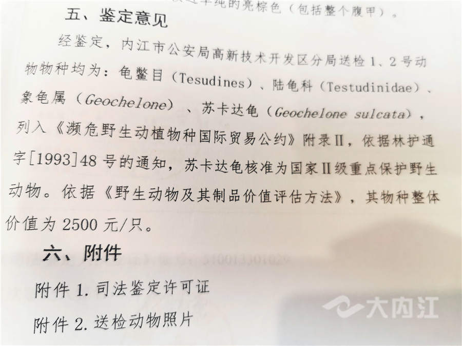 11_副本.jpg
