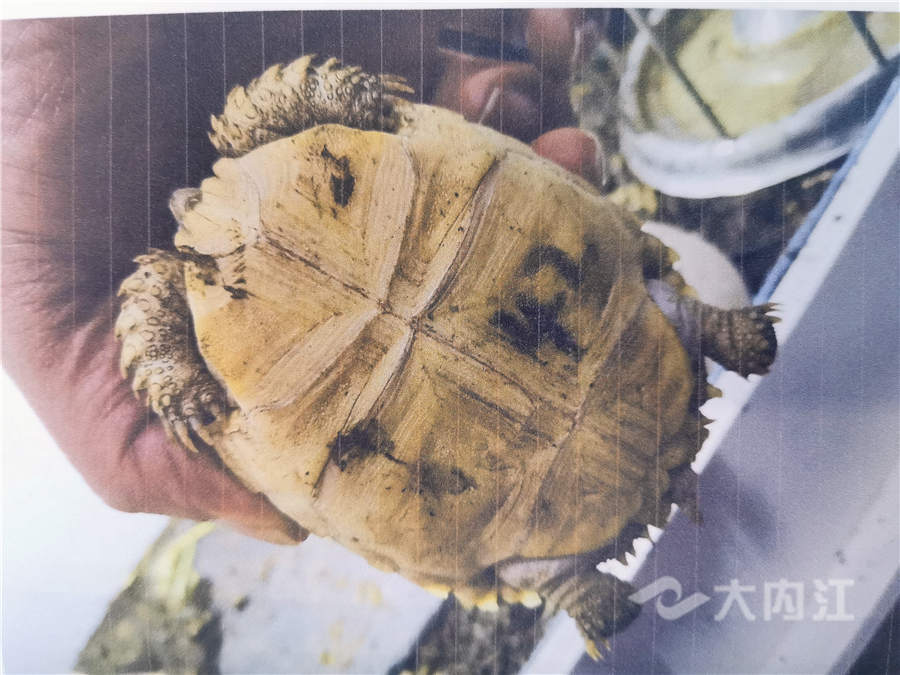 22_副本.jpg