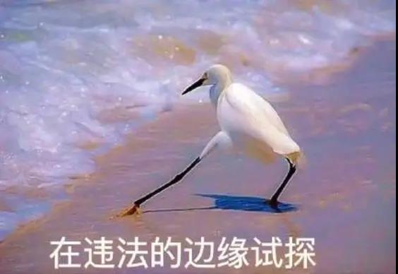 281698_1592789548991580.jpg 1.jpg