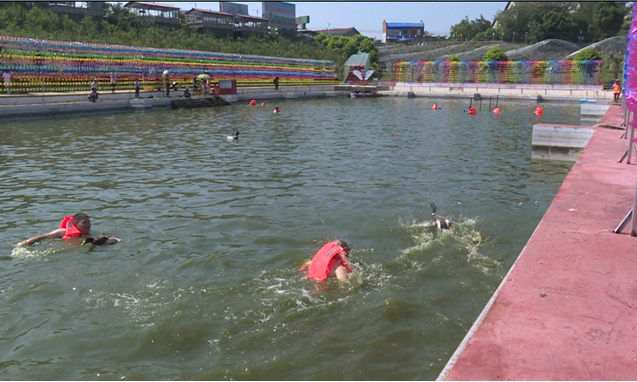 281698_1593069096855973.png 4.png