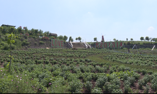 281698_1593069200158793.png 8.png