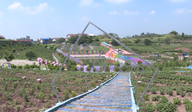 281698_1593069218141530.png 9.png