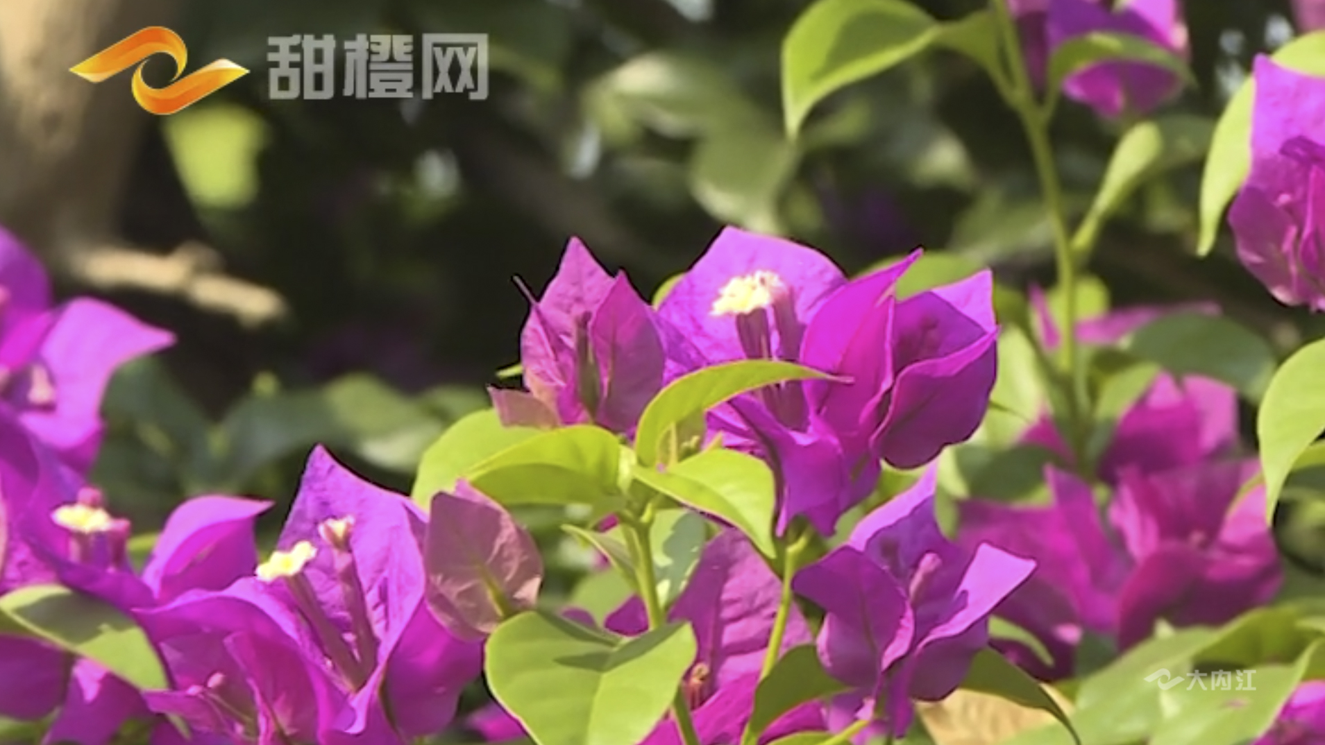 281698_1593227001484192.jpg 塔山5.jpg