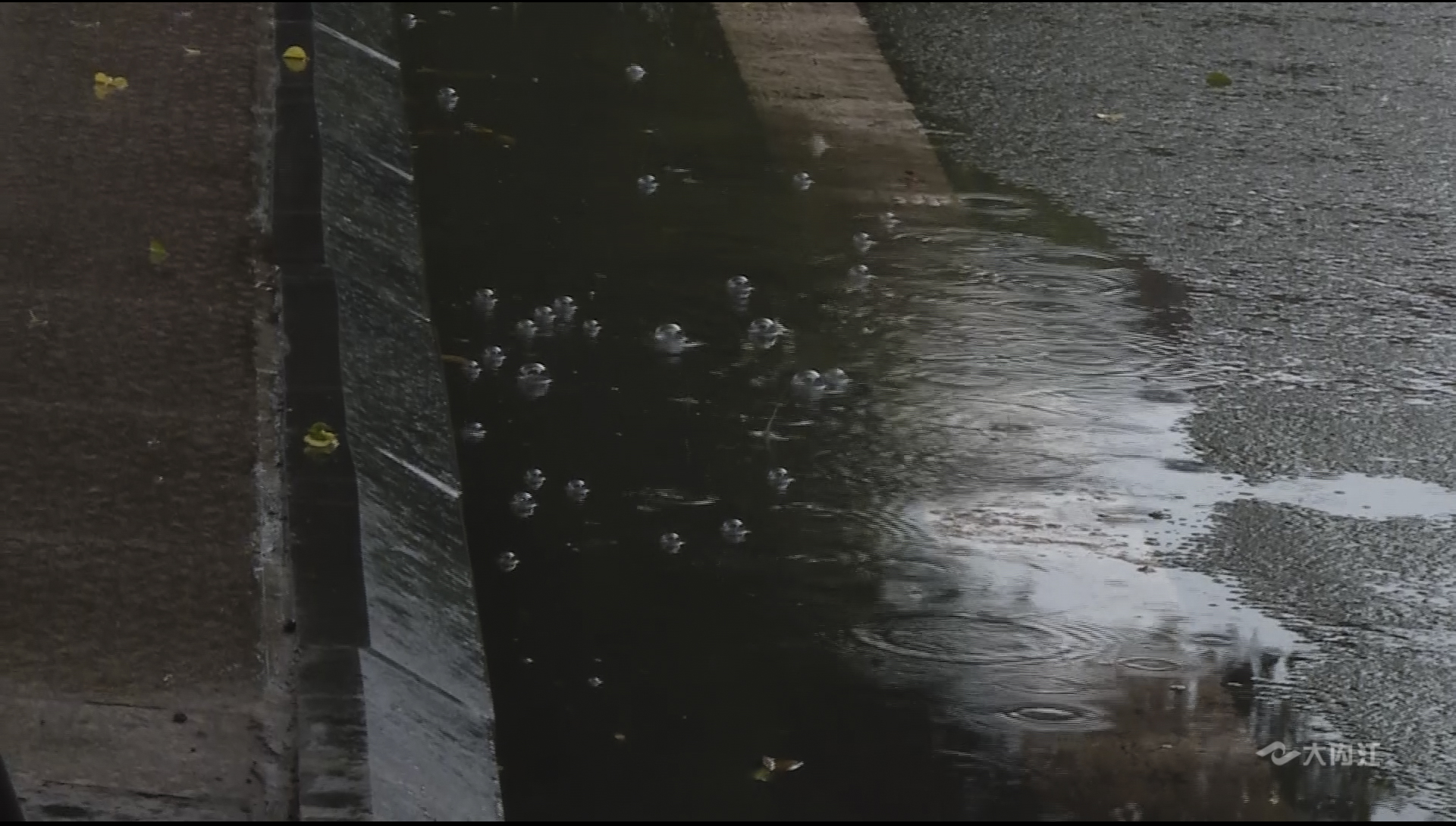 281698_1593240470623607.jpg 暴雨4.jpg