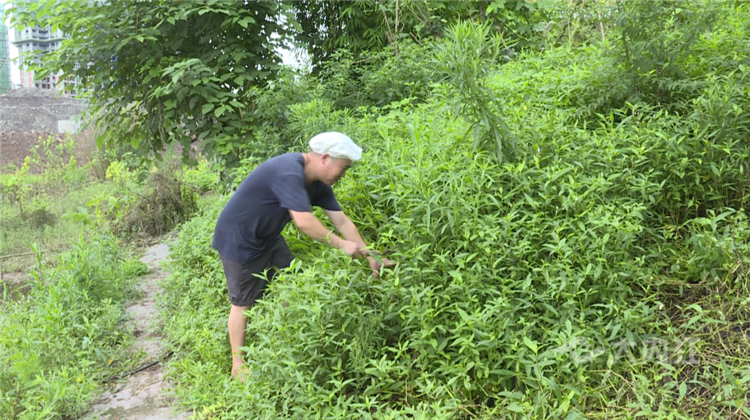 280037_1595597924303194.png QQ图片20200724213421.png