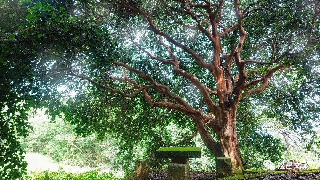 281604_1594213038177943.jpg 1.jpg