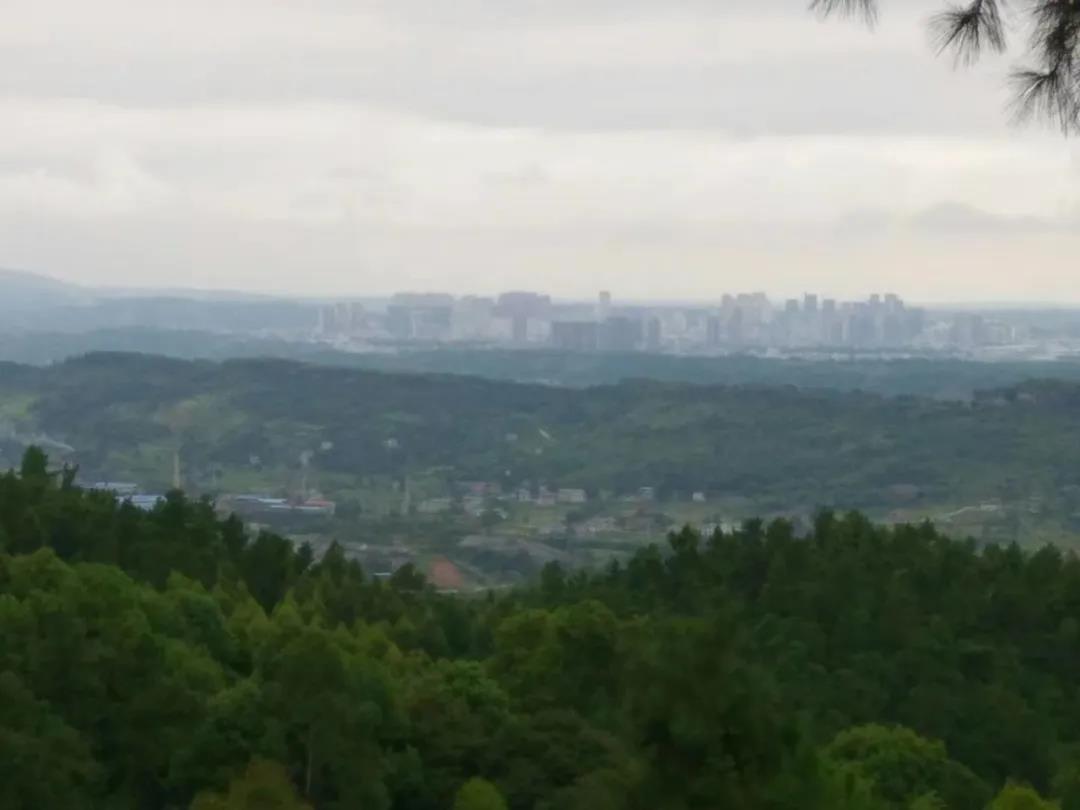 281604_1594213057648319.jpg 3.jpg