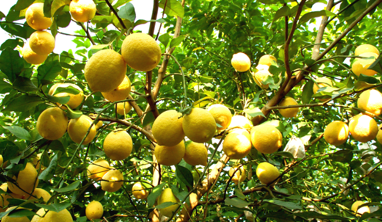 281606_1595559793445911.png 微信截图_20200724110136.png