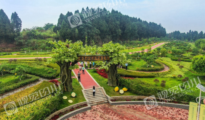281606_1595559849143323.png 微信截图_20200724110200.png