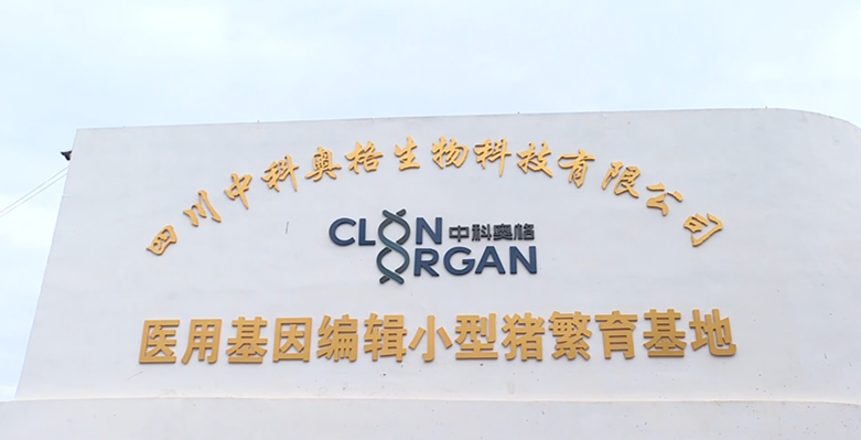 281606_1595578554254778.png QQ图片20200724161137.png