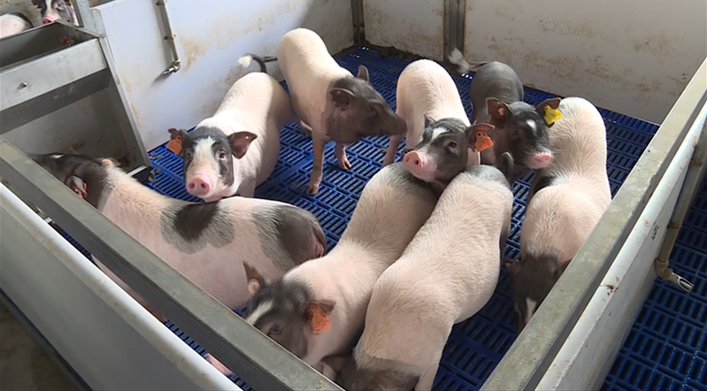 281606_1595578599278748.png QQ图片20200724161156.png