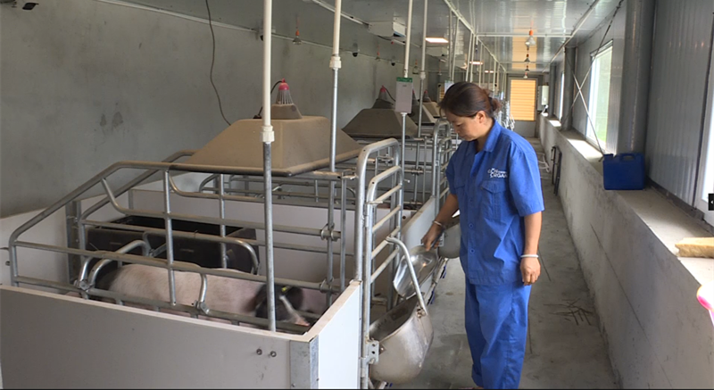 281606_1595578618883290.png QQ图片20200724161146.png