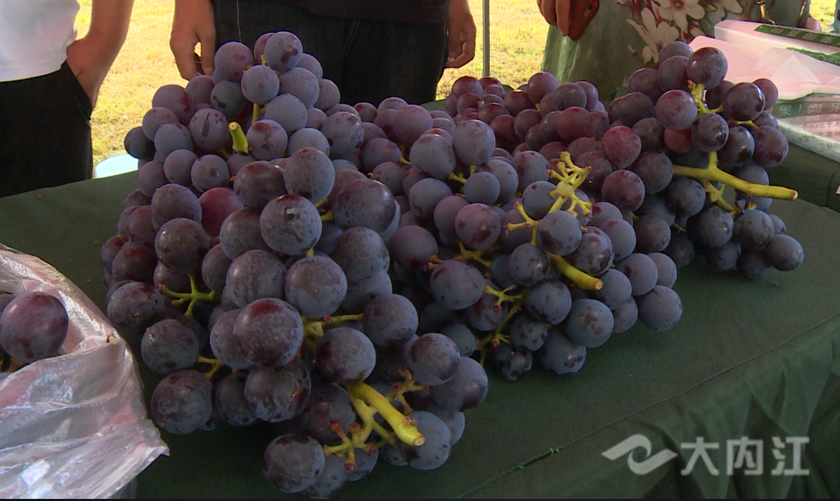 281621_1595121281413925.png CZ0PGJ1}4`A6VURICFAI_41.png