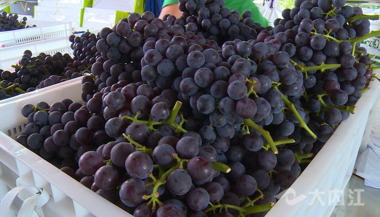 281621_1595121319607360.png }MRW(2{5UPYBD{VZ_5{AM1Y.png