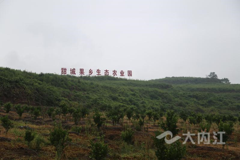 281698_1594973180523139.jpg QQ图片20200717160358_副本.jpg