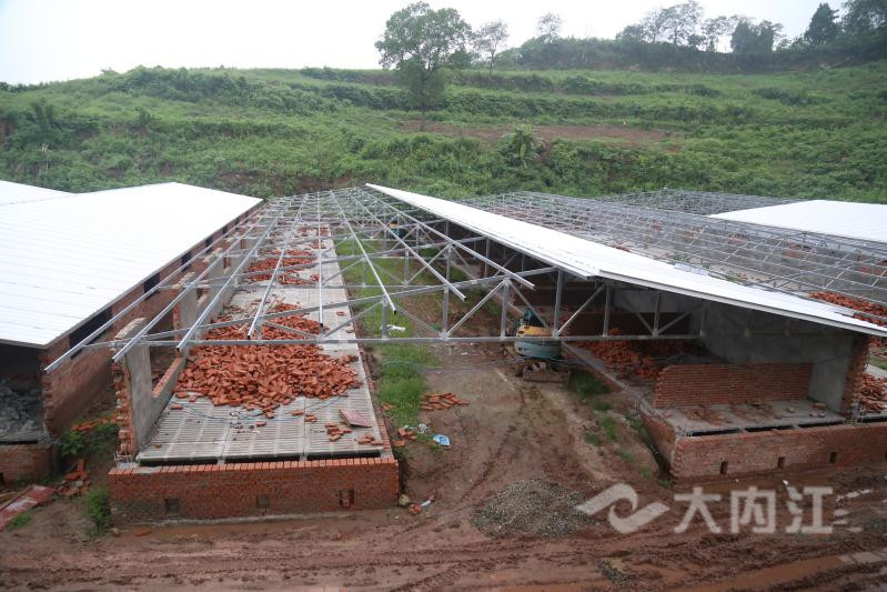 281698_1594973284896569.jpg QQ图片20200717160417_副本.jpg