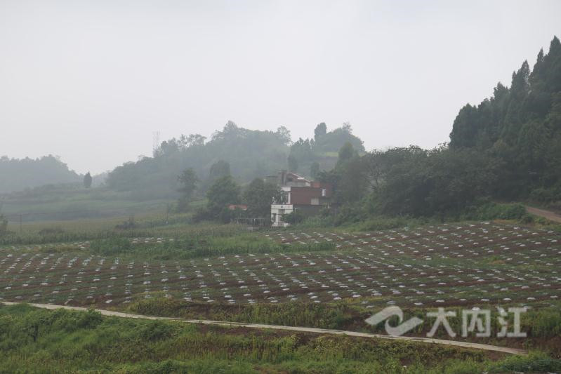 281698_1594973298830870.jpg QQ图片20200717160425_副本.jpg