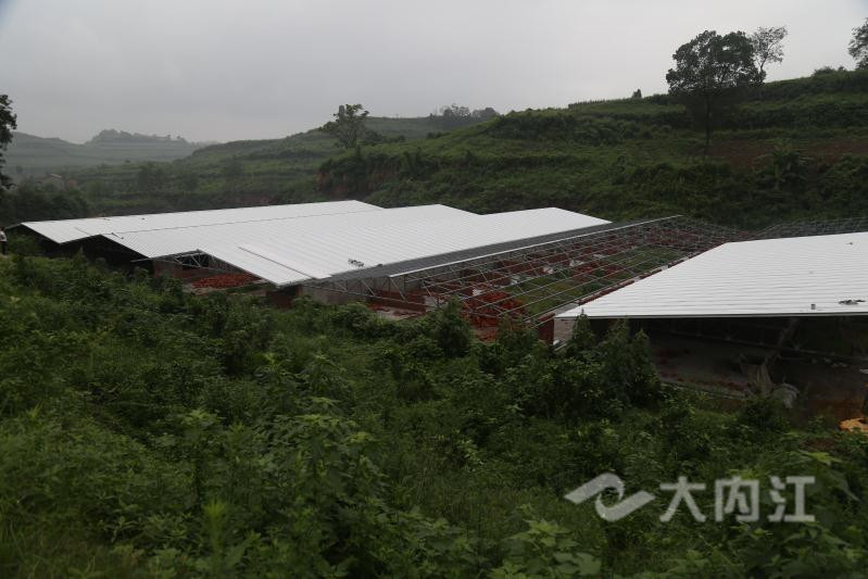 281698_1594973356967824.jpg QQ图片20200717160413_副本.jpg