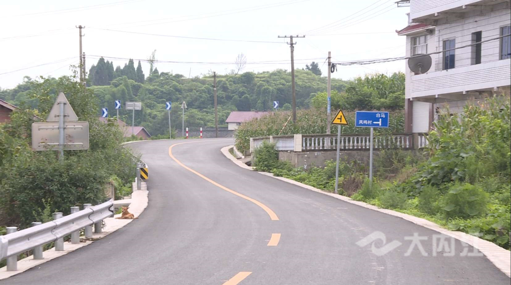 281698_1595404516954126.jpg 微信图片_20200722155345.jpg