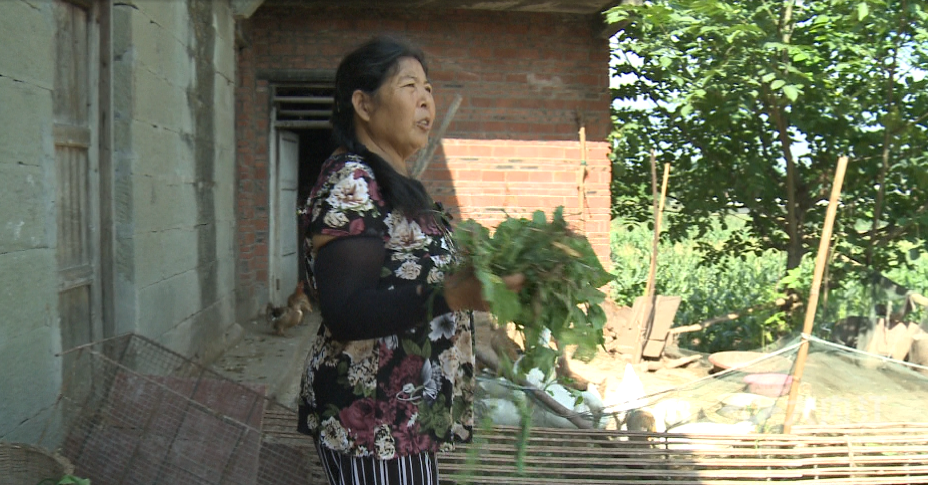 微信图片_20200709175956.png