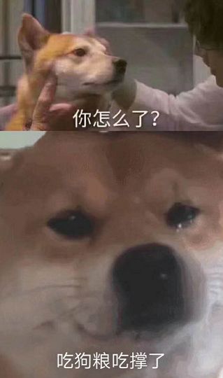 280037_1598320451306454.jpg 640.jpg