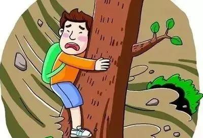 281606_1597235854420143.jpg 微信图片_20200812203200.jpg