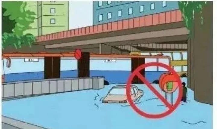 281606_1597235930328991.jpg 微信图片_20200812203218.jpg