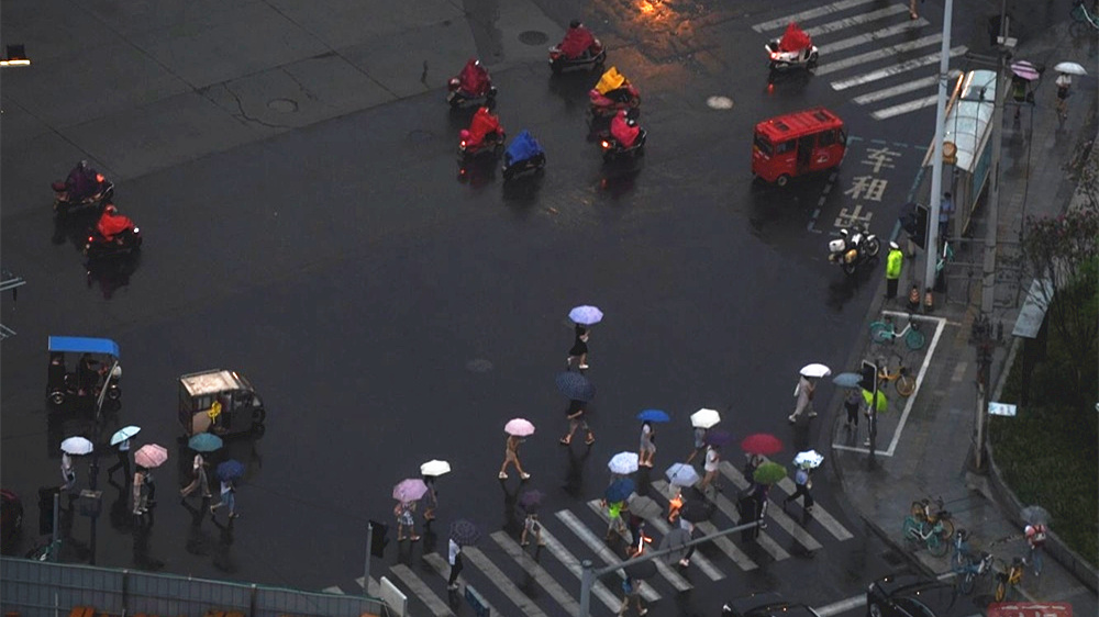 281606_1597281919312133.jpg 微信图片_20200813092122.jpg