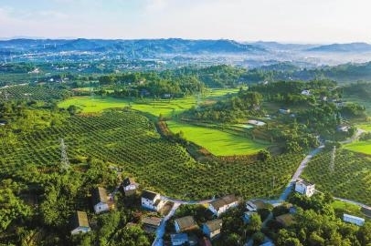 281606_1597285001889778.jpg NEWS_CC3195B4868BD0015661DFBC55C17EB9.JPG