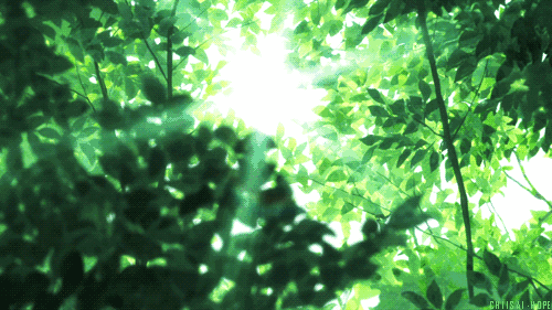 123.gif