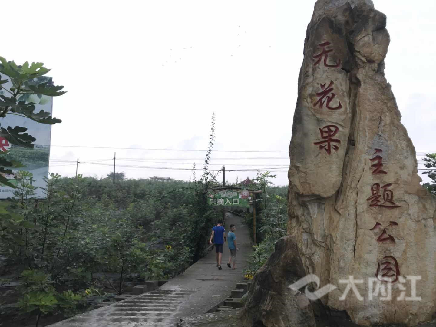 5.jpg