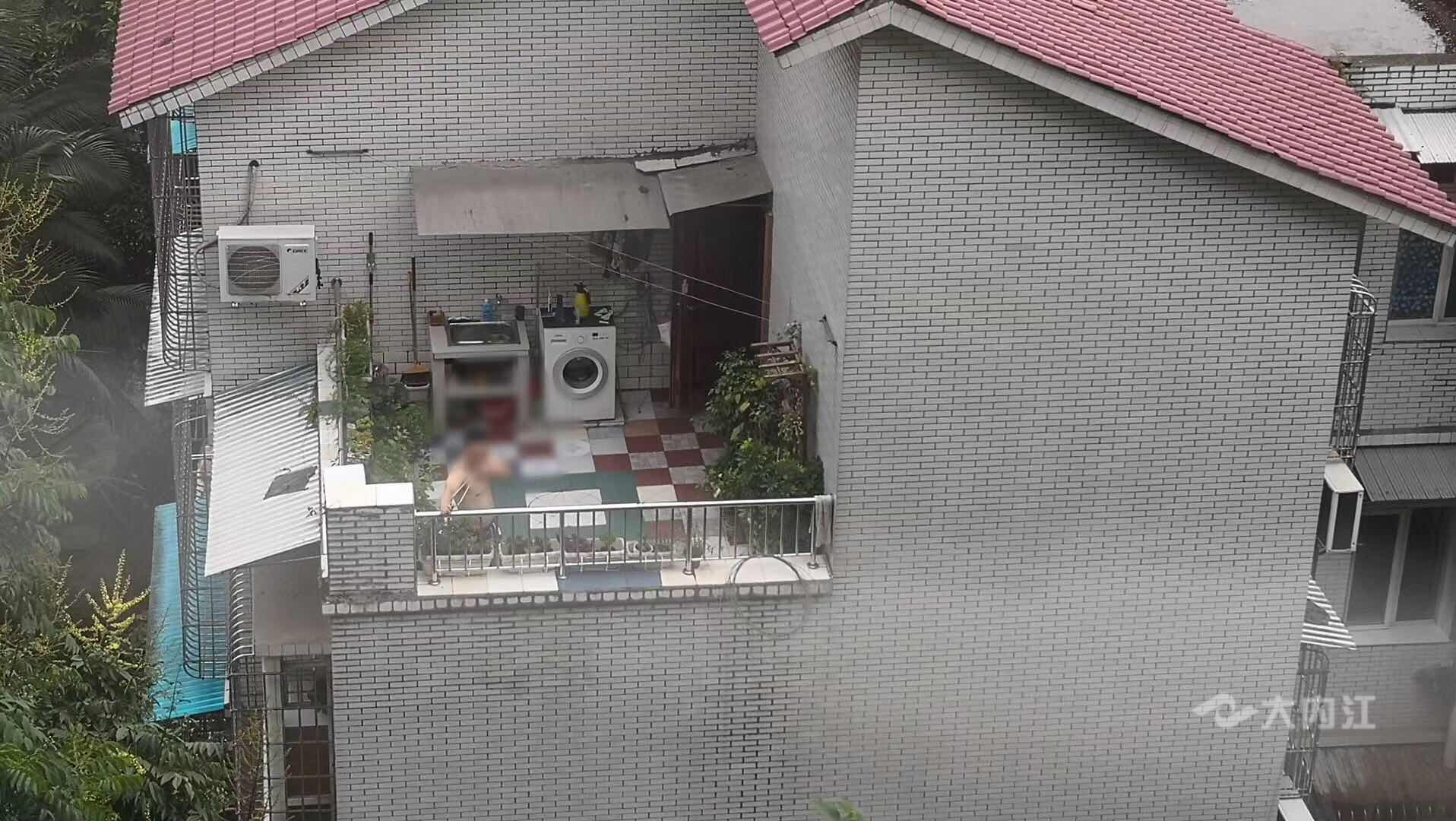 281877_1597198912592739.jpg 图片1.JPG