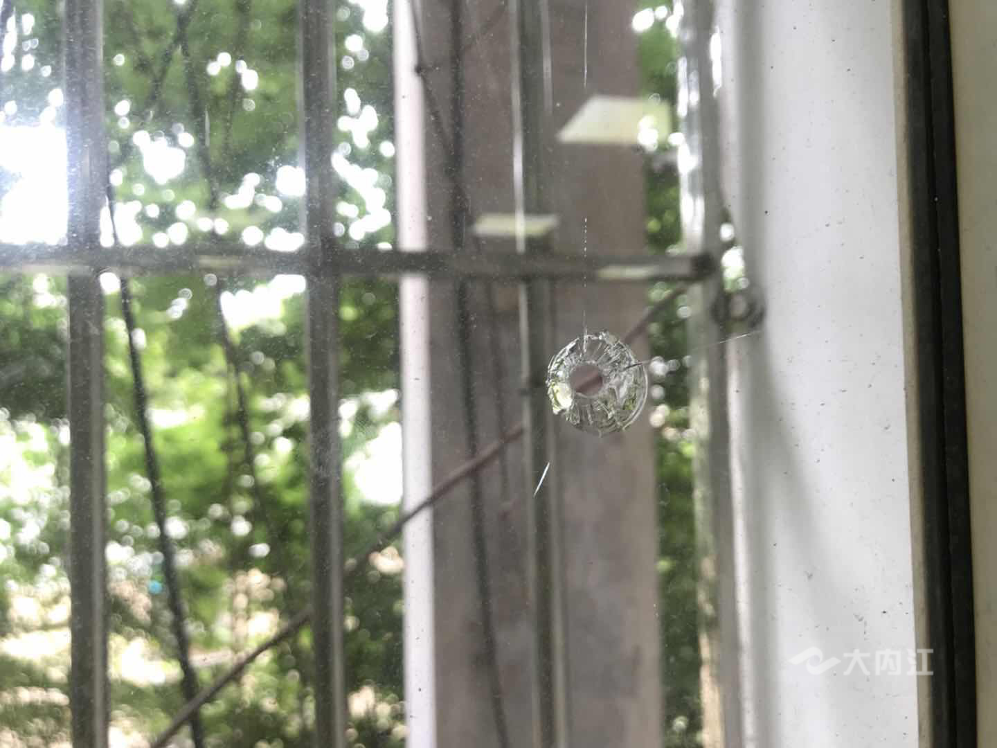 281877_1597198950174671.jpg 图片5.JPG