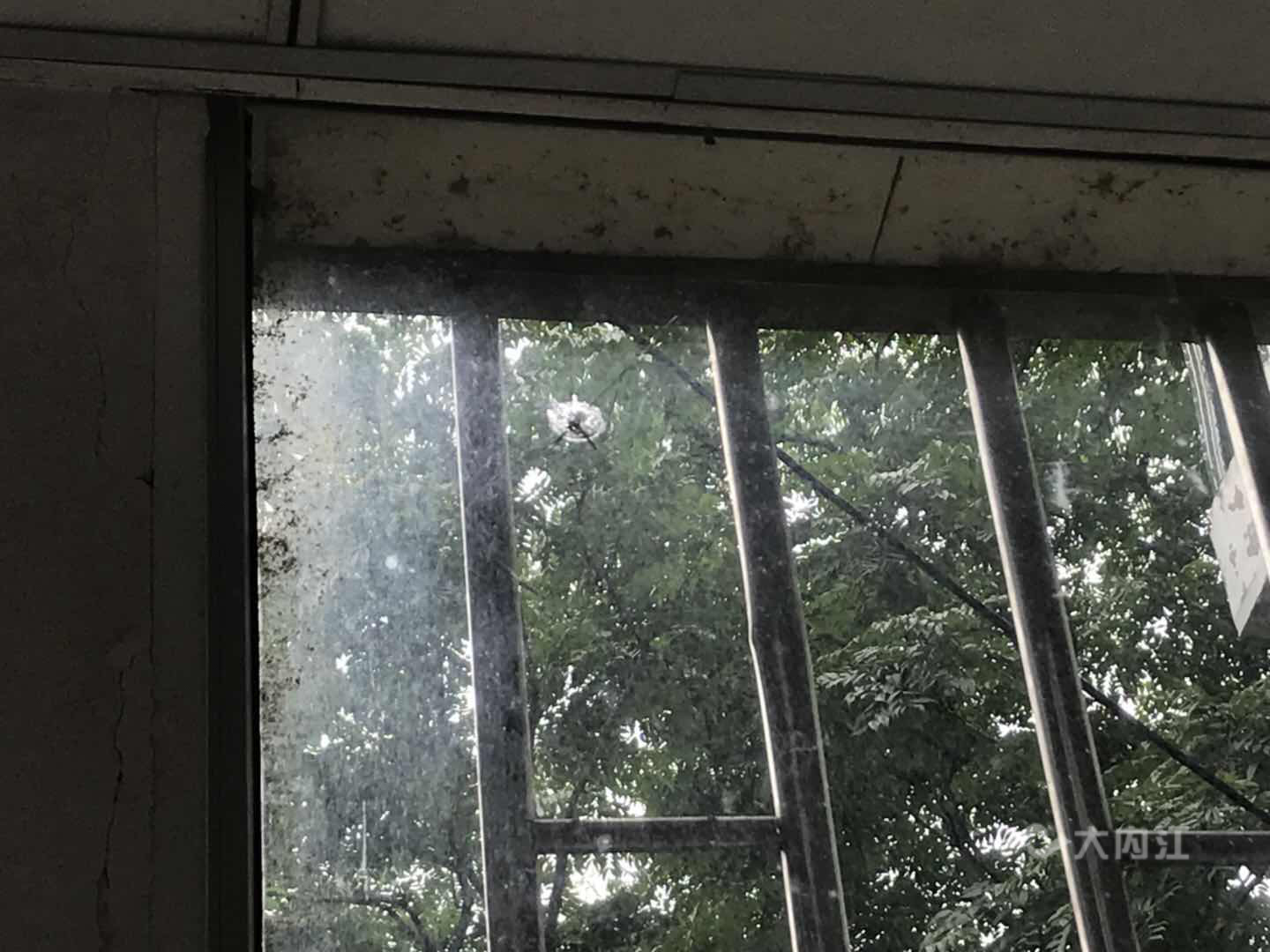 281877_1597199114946849.jpg 图片4.JPG