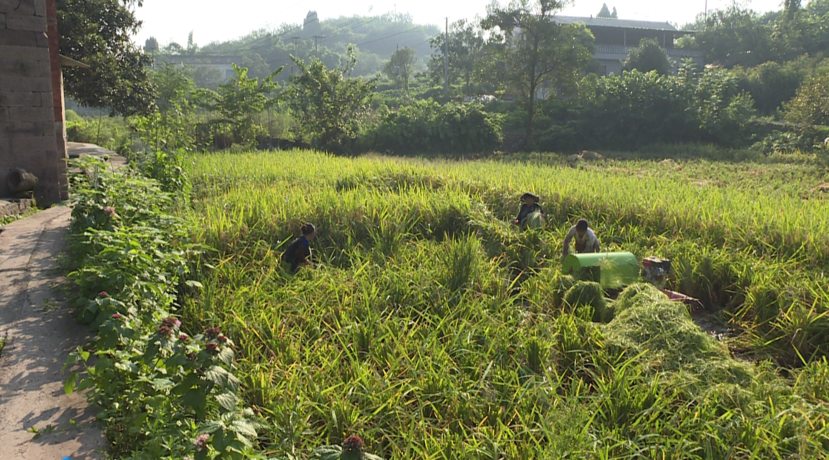 281877_1598614389942013.jpg 01.JPG