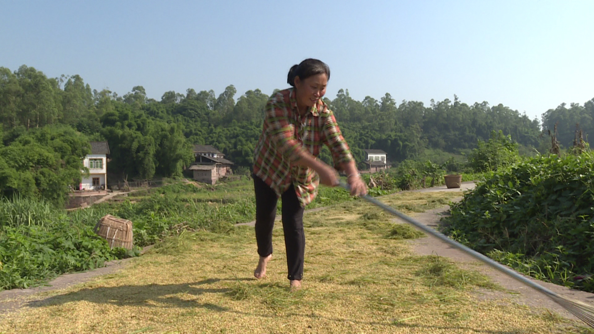 281877_1598614409650052.jpg 03.JPG