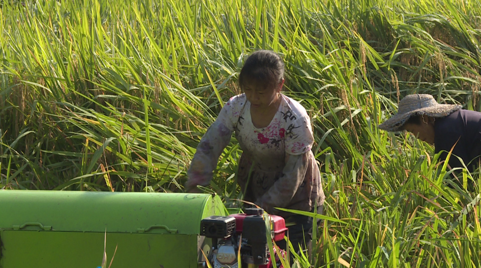 281877_1598614451670058.jpg 02.JPG