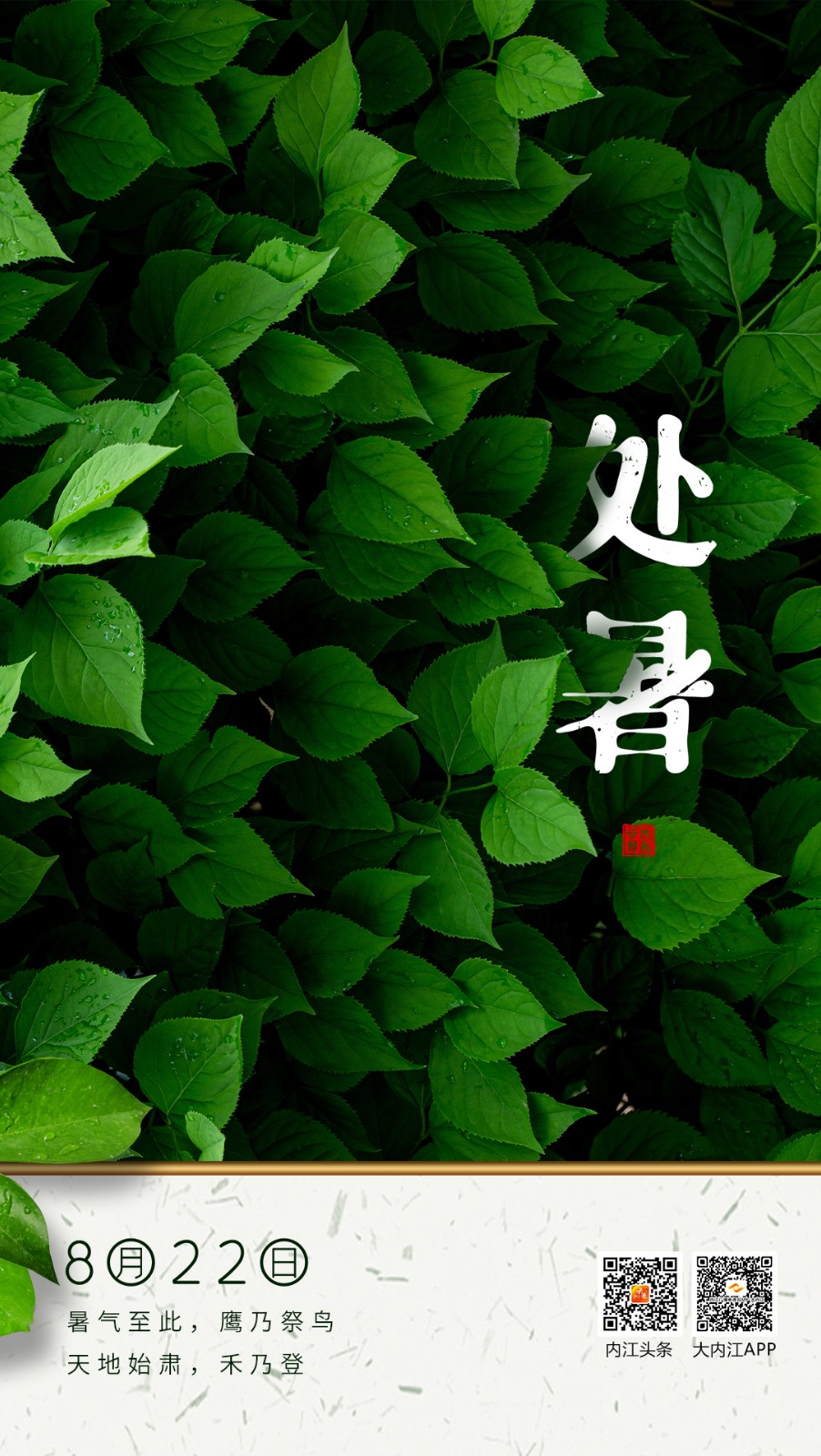 74005_1598056449922353.jpg 微信图片_20200822082708.jpg