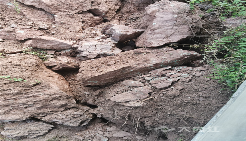 74005_1598066084780234.jpg QQ图片20200822111054.jpg