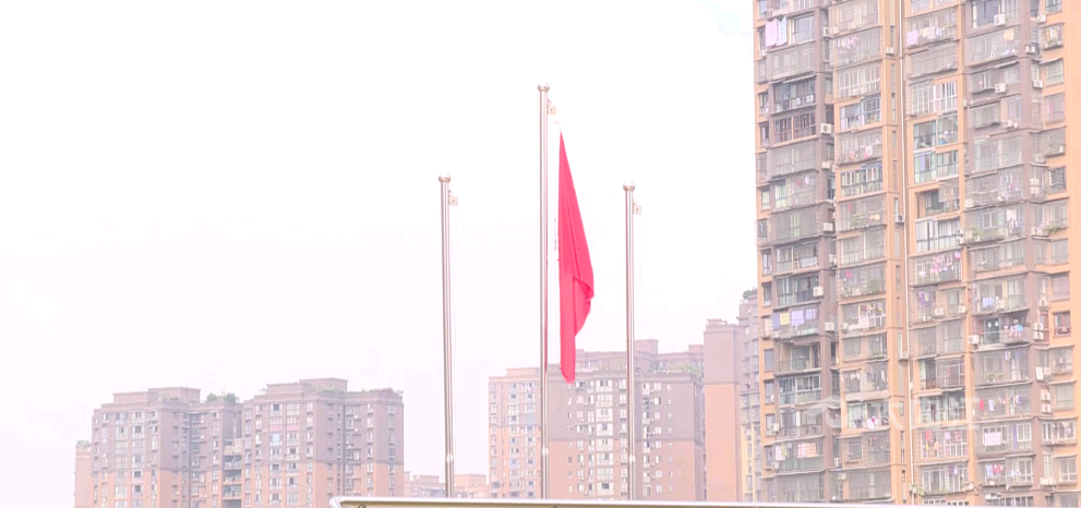 8.png