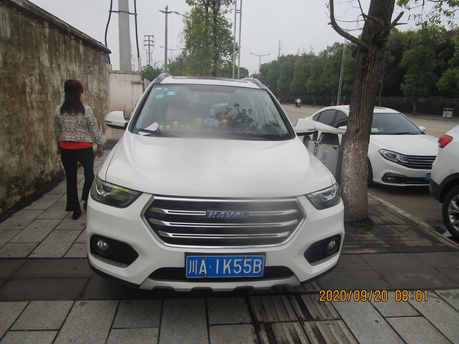 汉阳路 川A1K55B.JPG