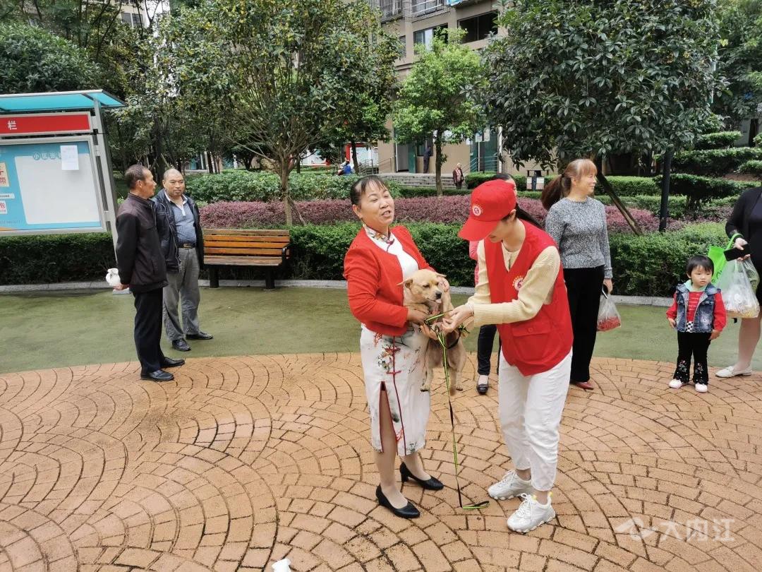 图片4.jpg