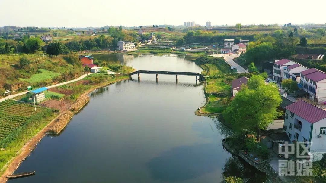 281877_1602998834607921.jpg 4.jpg